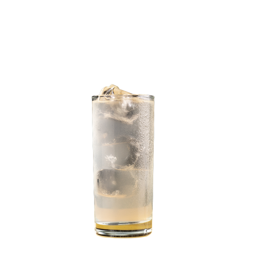 AQUARIUS LIMON BIB